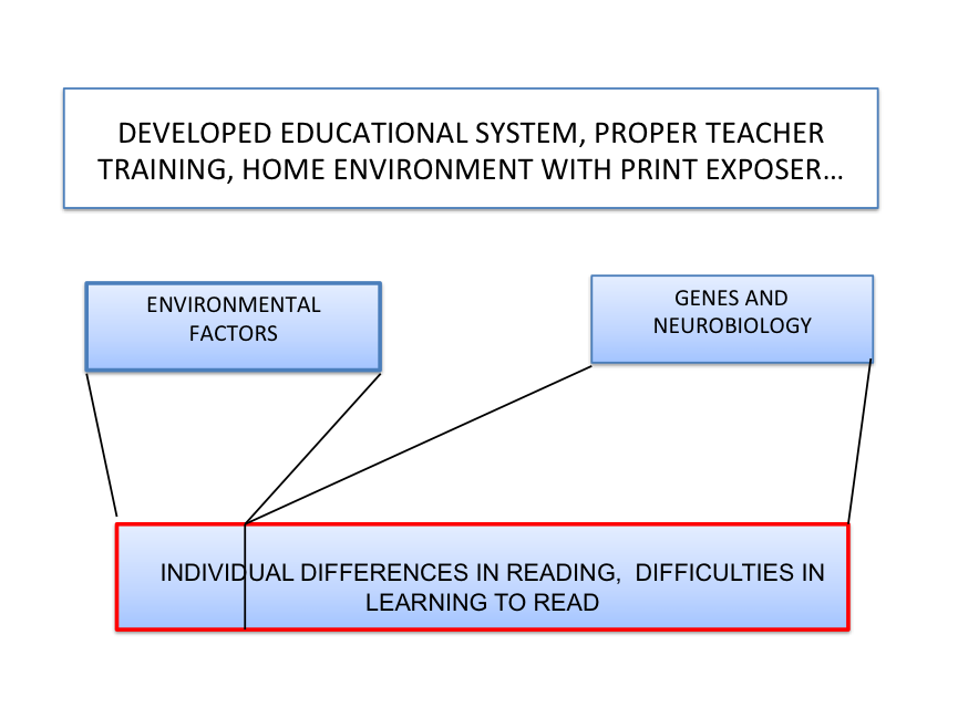 how-our-genes-and-neurobiological-factors-and-environment-affect