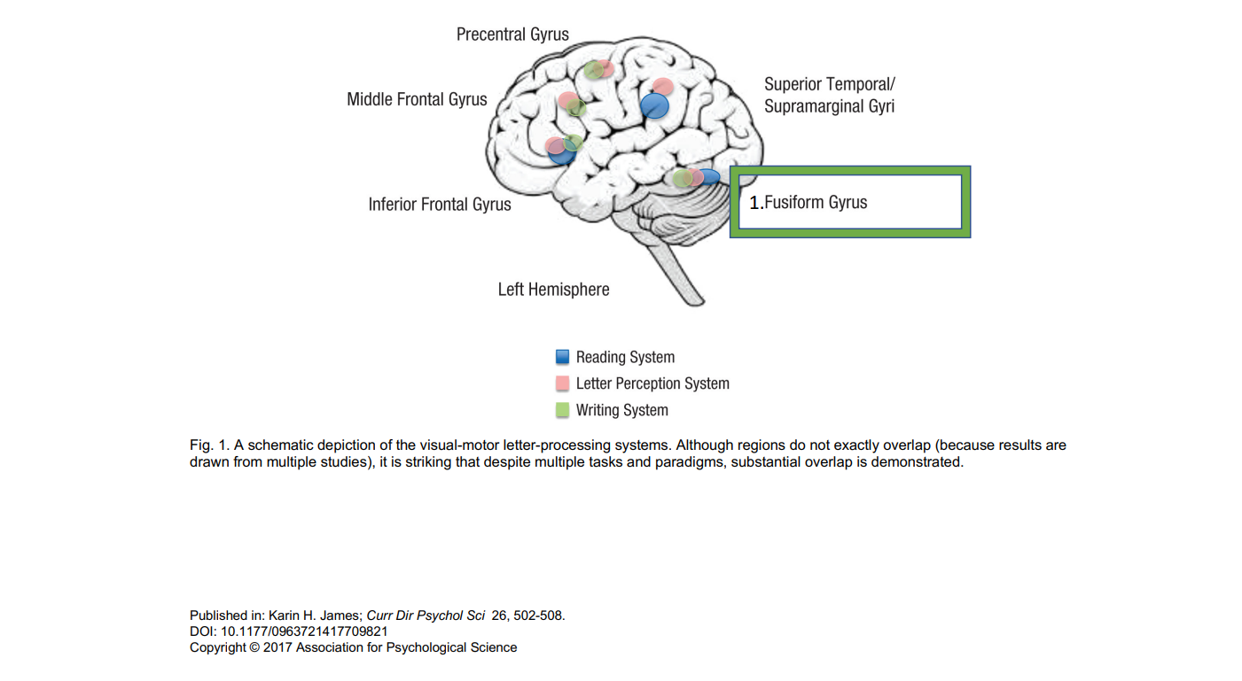 Writing Process and Reference Flaps by Teaching Every Brain