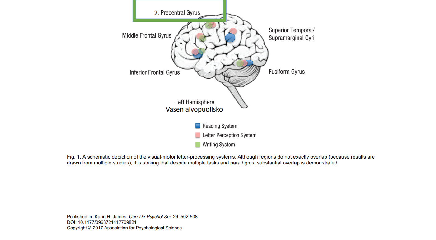 Writing Process and Reference Flaps by Teaching Every Brain